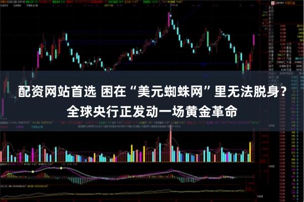配资网站首选 困在“美元蜘蛛网”里无法脱身？全球央行正发动一场黄金革命